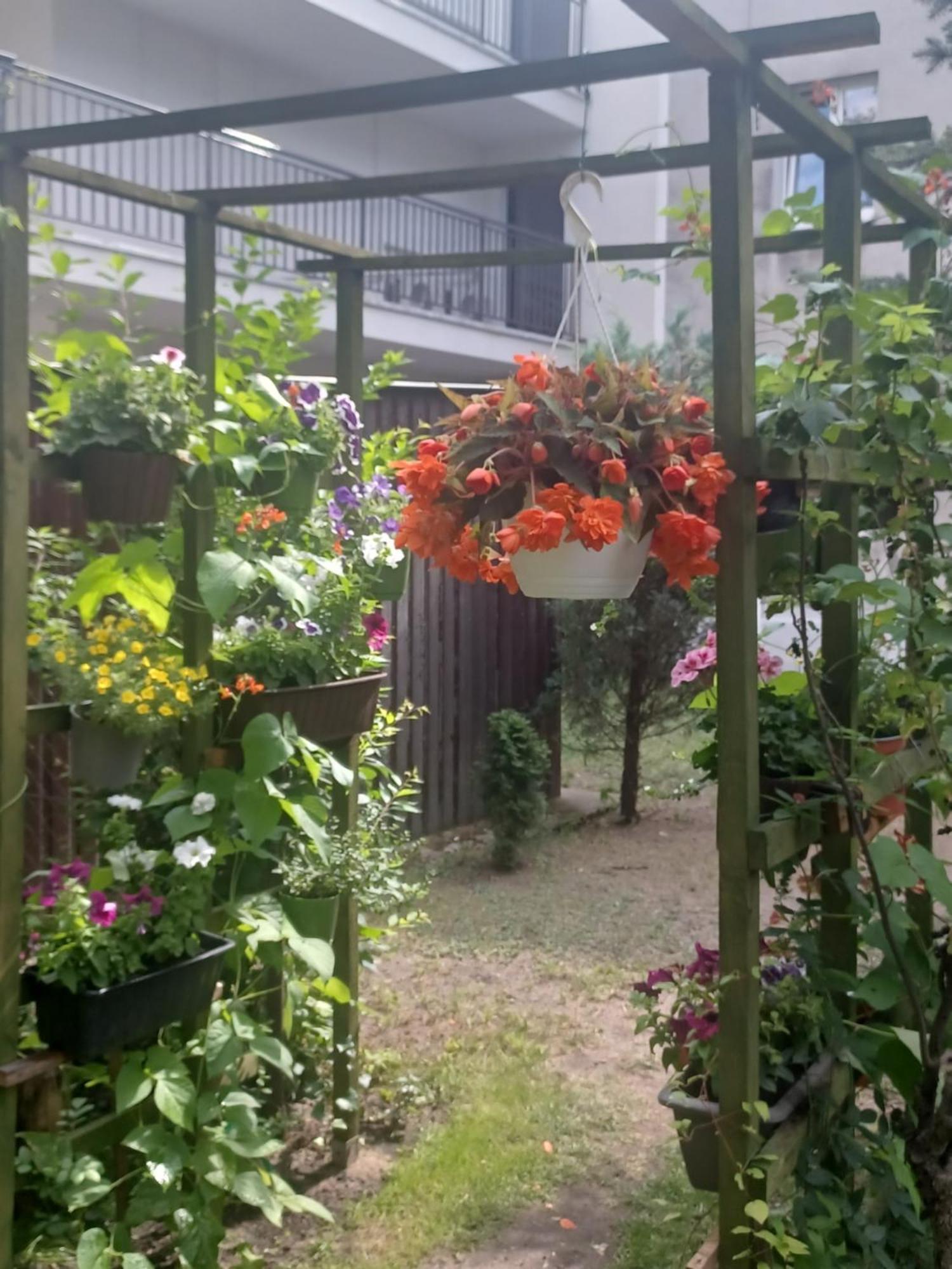 Apartament Lord ทอรูน ภายนอก รูปภาพ